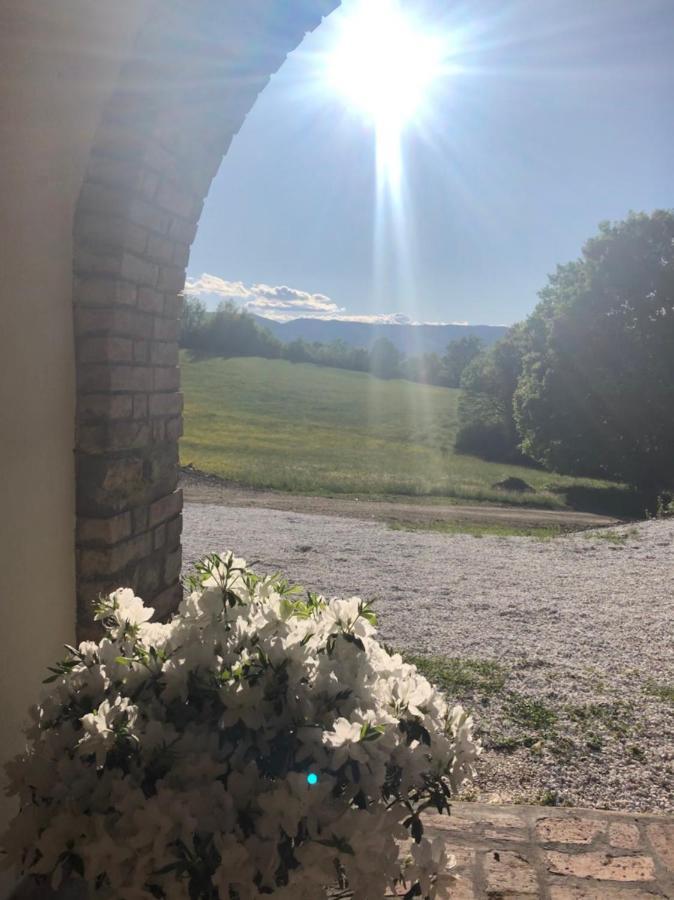 Podere Il Sasso Barberino di Mugello Exterior foto