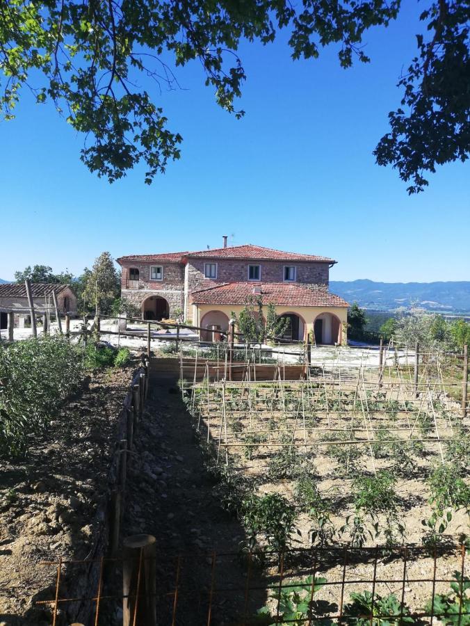 Podere Il Sasso Barberino di Mugello Exterior foto